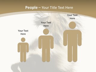 A Skunky Skunky Skunky Skunky Skunky PowerPoint Template