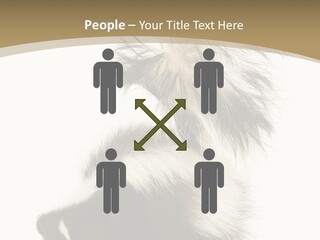 A Skunky Skunky Skunky Skunky Skunky PowerPoint Template