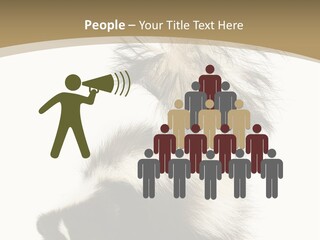 A Skunky Skunky Skunky Skunky Skunky PowerPoint Template