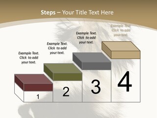 A Skunky Skunky Skunky Skunky Skunky PowerPoint Template