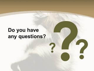 A Skunky Skunky Skunky Skunky Skunky PowerPoint Template