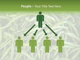A Pile Of Green Beans Powerpoint Template PowerPoint Template