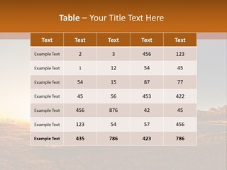 A Bench Sitting On Top Of A Sandy Beach PowerPoint Template