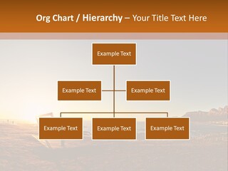 A Bench Sitting On Top Of A Sandy Beach PowerPoint Template