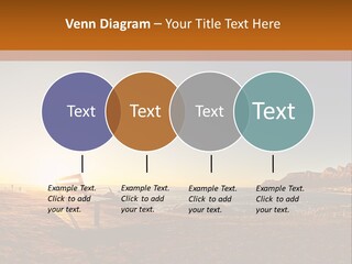 A Bench Sitting On Top Of A Sandy Beach PowerPoint Template