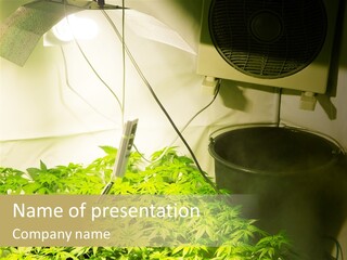 A Room With Plants And A Fan On The Wall PowerPoint Template