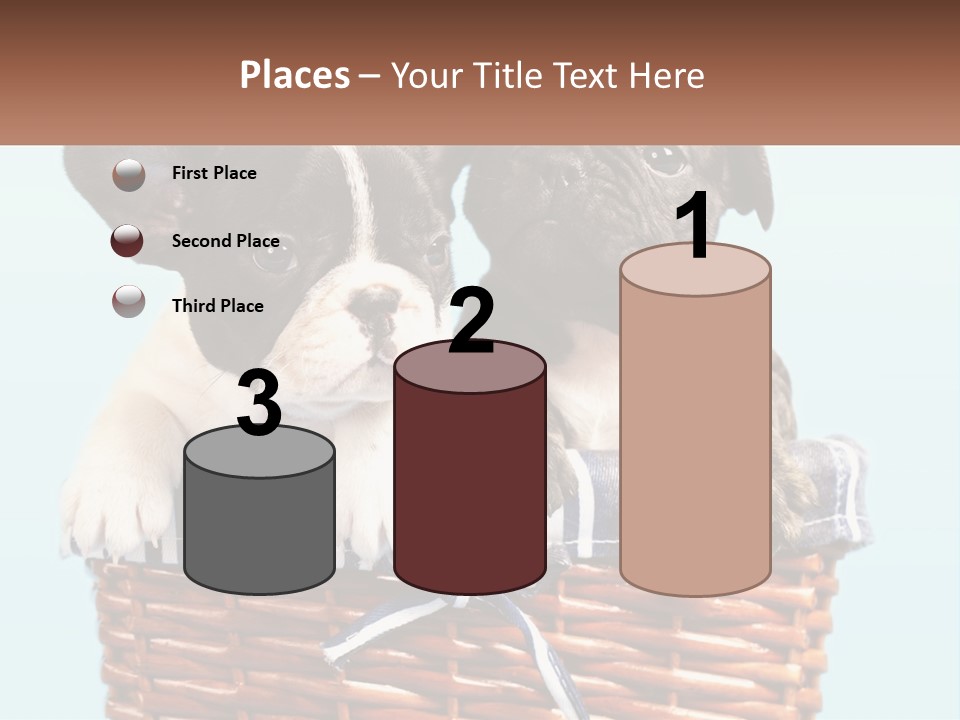 Two Puppies Are Sitting In A Basket PowerPoint Template