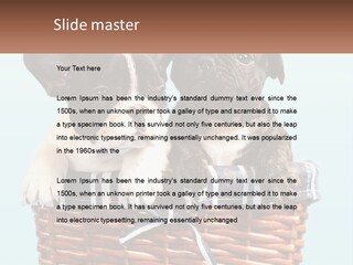 Two Puppies Are Sitting In A Basket PowerPoint Template