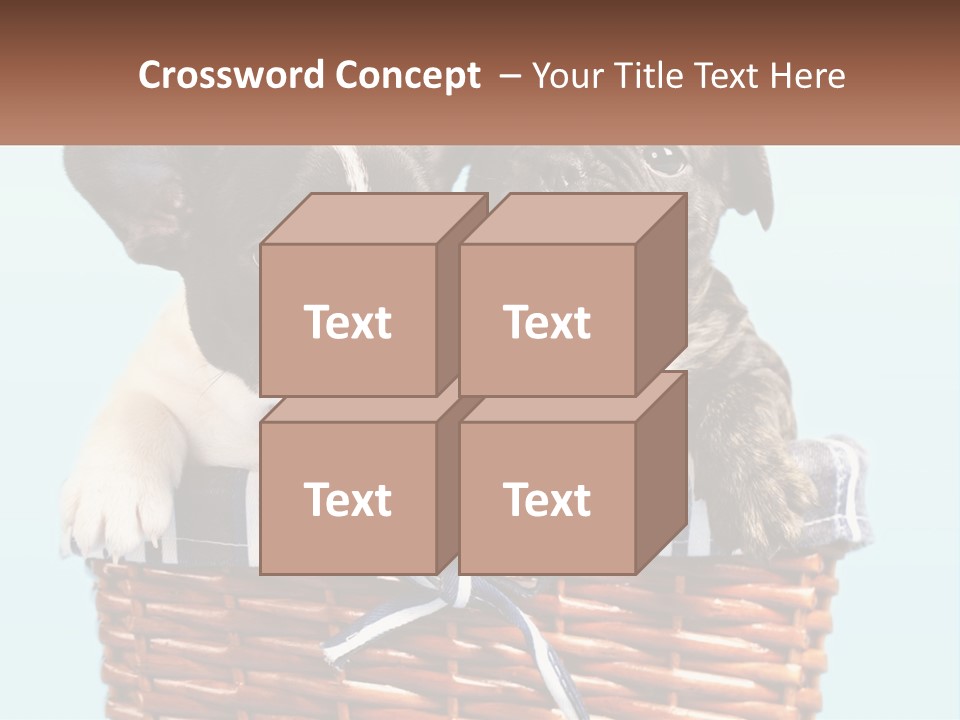 Two Puppies Are Sitting In A Basket PowerPoint Template