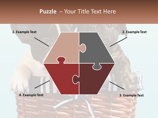 Two Puppies Are Sitting In A Basket PowerPoint Template