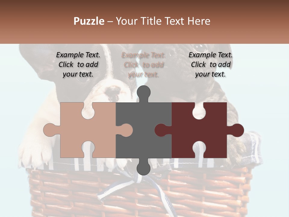 Two Puppies Are Sitting In A Basket PowerPoint Template