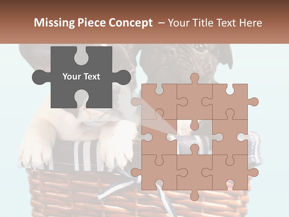 Two Puppies Are Sitting In A Basket PowerPoint Template