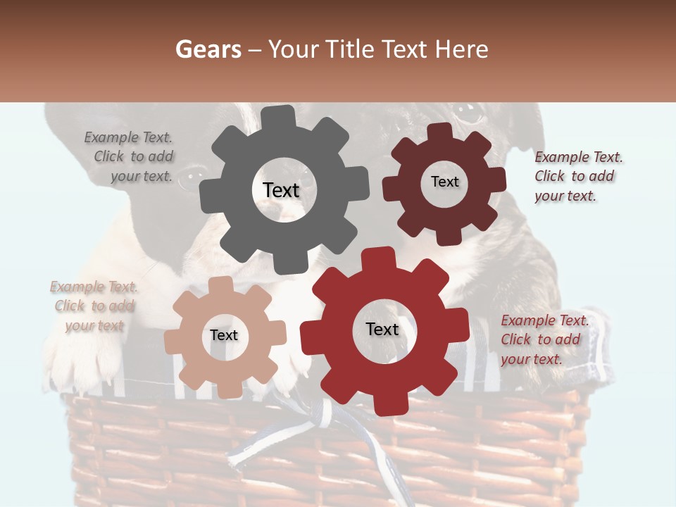 Two Puppies Are Sitting In A Basket PowerPoint Template