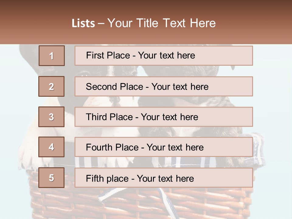 Two Puppies Are Sitting In A Basket PowerPoint Template