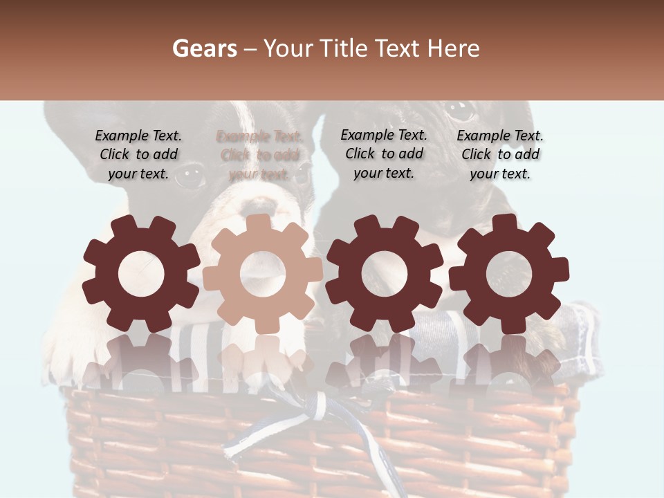 Two Puppies Are Sitting In A Basket PowerPoint Template