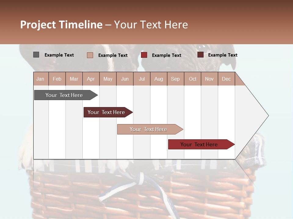 Two Puppies Are Sitting In A Basket PowerPoint Template