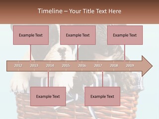 Two Puppies Are Sitting In A Basket PowerPoint Template