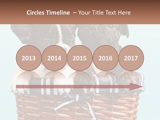 Two Puppies Are Sitting In A Basket PowerPoint Template