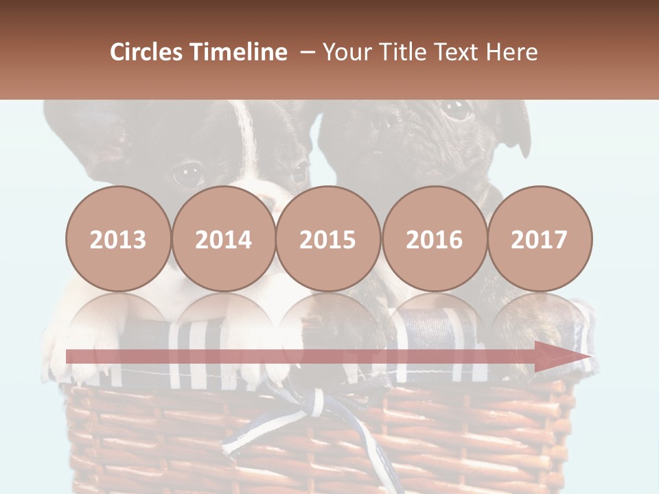 Two Puppies Are Sitting In A Basket PowerPoint Template