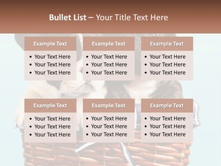 Two Puppies Are Sitting In A Basket PowerPoint Template
