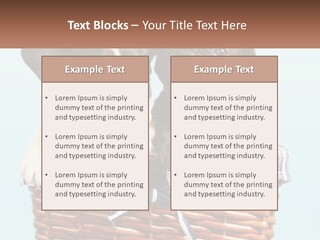 Two Puppies Are Sitting In A Basket PowerPoint Template