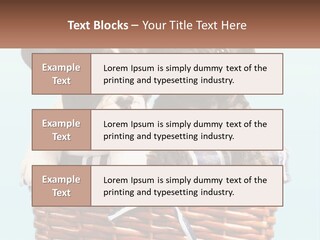 Two Puppies Are Sitting In A Basket PowerPoint Template