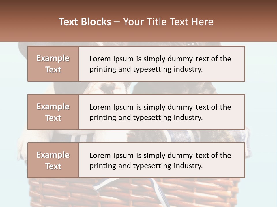 Two Puppies Are Sitting In A Basket PowerPoint Template