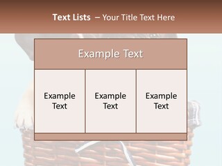 Two Puppies Are Sitting In A Basket PowerPoint Template