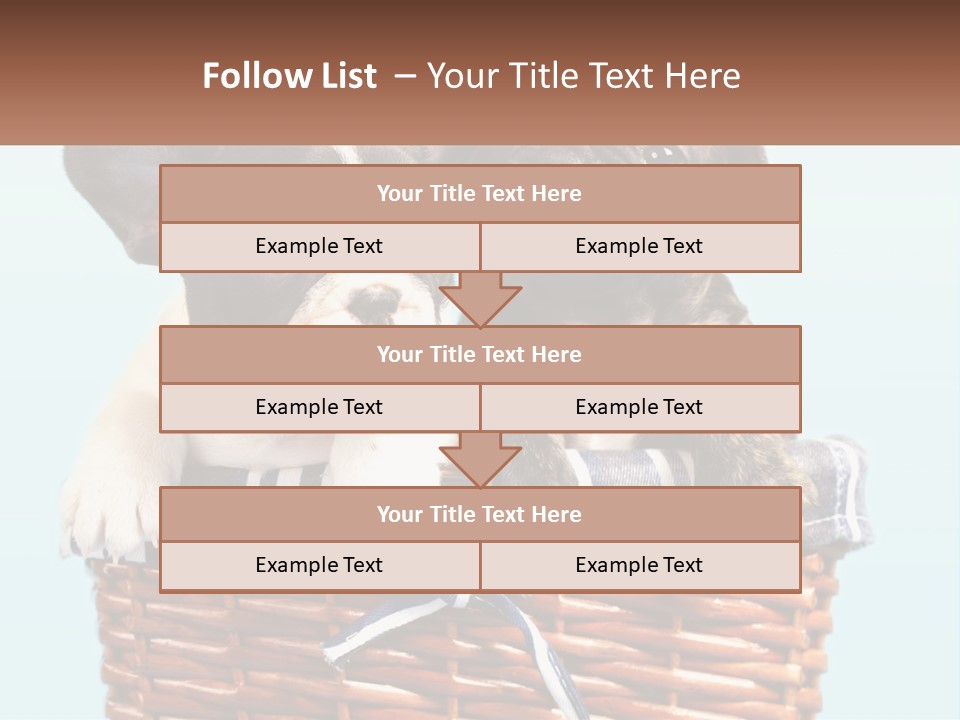 Two Puppies Are Sitting In A Basket PowerPoint Template