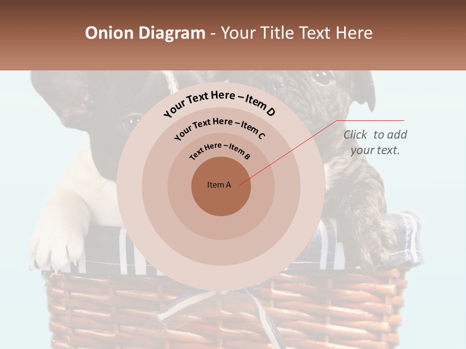 Two Puppies Are Sitting In A Basket PowerPoint Template