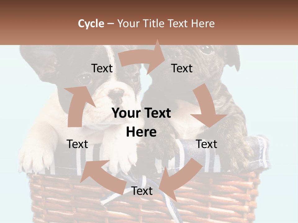 Two Puppies Are Sitting In A Basket PowerPoint Template