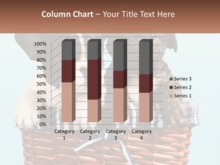 Two Puppies Are Sitting In A Basket PowerPoint Template