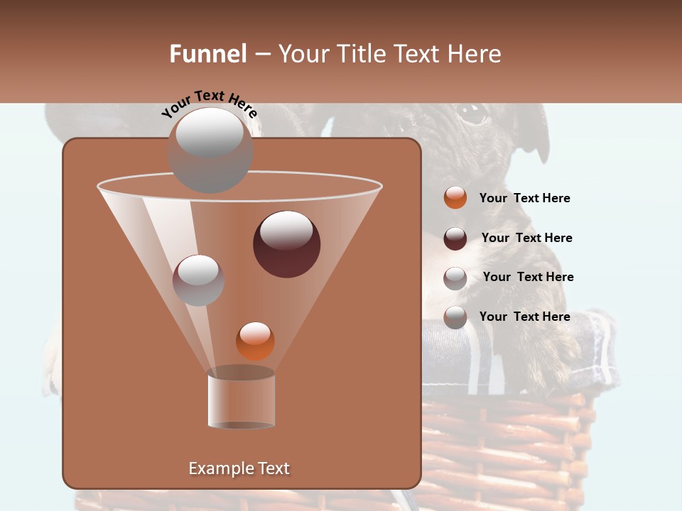 Two Puppies Are Sitting In A Basket PowerPoint Template