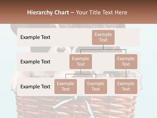 Two Puppies Are Sitting In A Basket PowerPoint Template