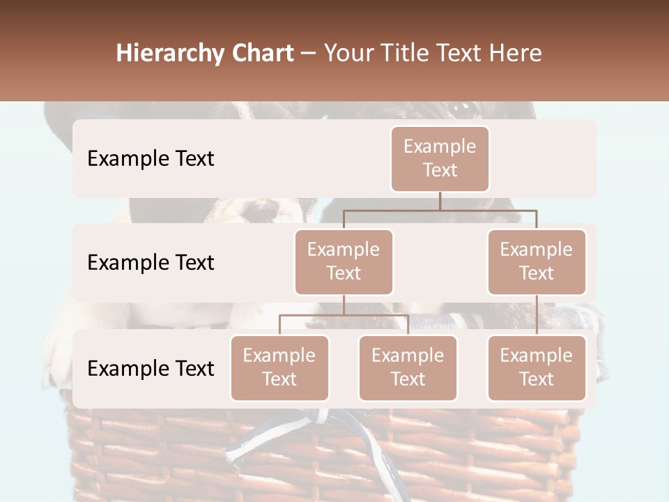 Two Puppies Are Sitting In A Basket PowerPoint Template
