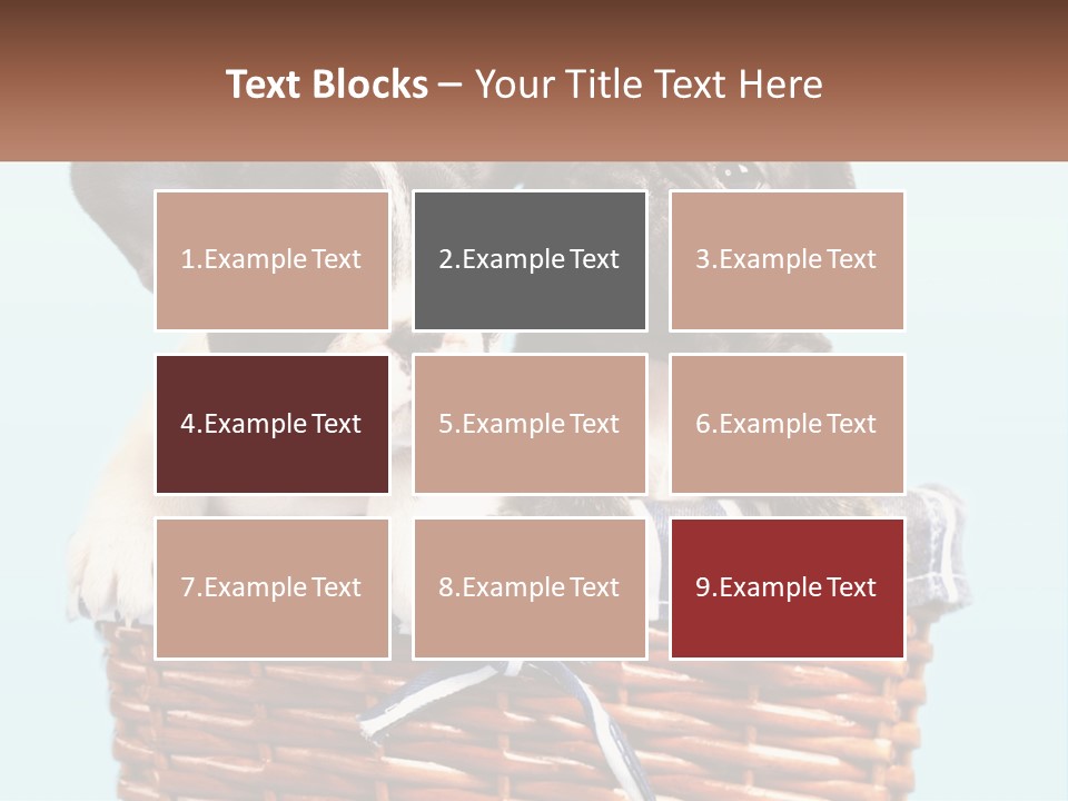 Two Puppies Are Sitting In A Basket PowerPoint Template