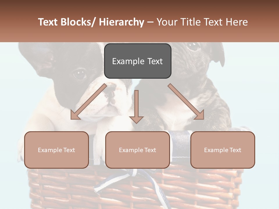 Two Puppies Are Sitting In A Basket PowerPoint Template