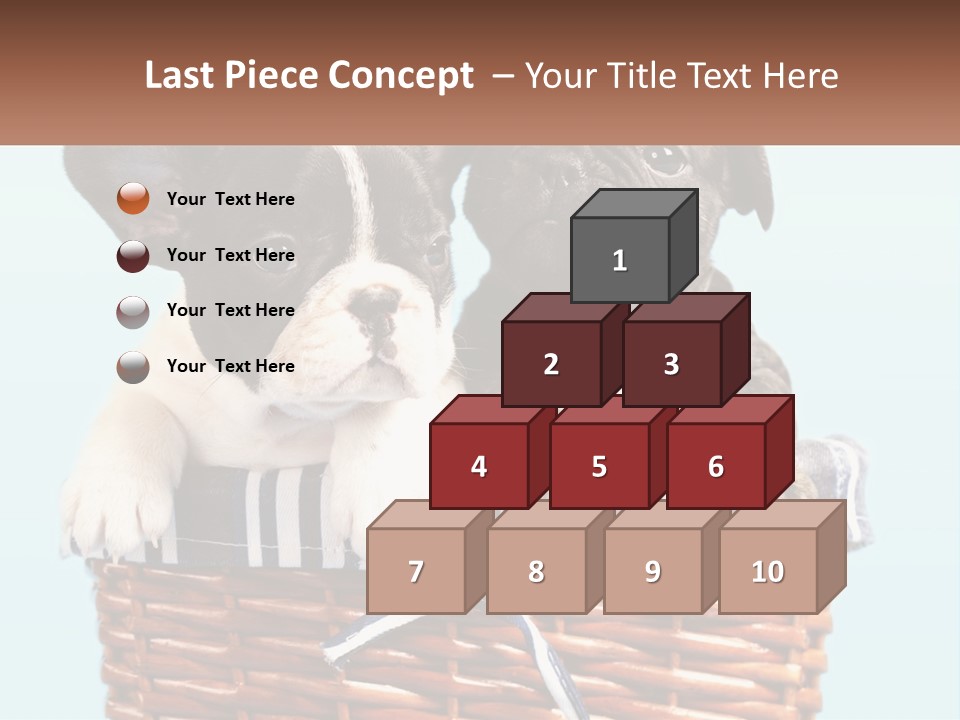 Two Puppies Are Sitting In A Basket PowerPoint Template