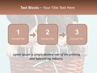 Two Puppies Are Sitting In A Basket PowerPoint Template