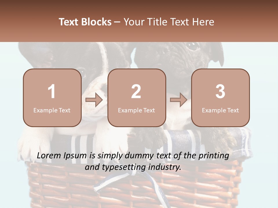 Two Puppies Are Sitting In A Basket PowerPoint Template
