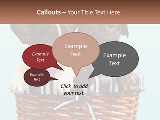 Two Puppies Are Sitting In A Basket PowerPoint Template