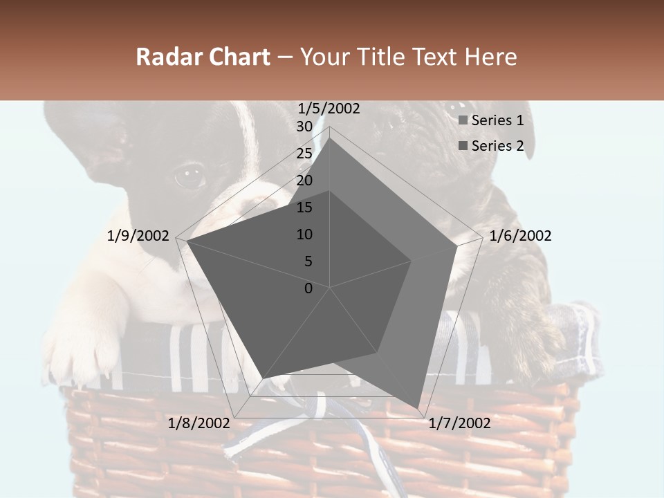 Two Puppies Are Sitting In A Basket PowerPoint Template