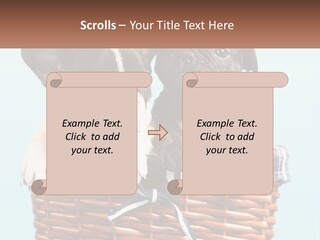 Two Puppies Are Sitting In A Basket PowerPoint Template