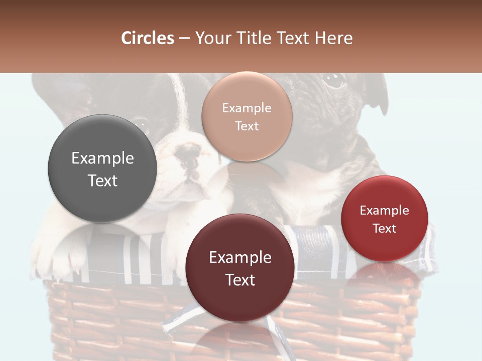 Two Puppies Are Sitting In A Basket PowerPoint Template