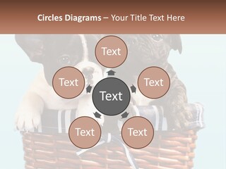 Two Puppies Are Sitting In A Basket PowerPoint Template