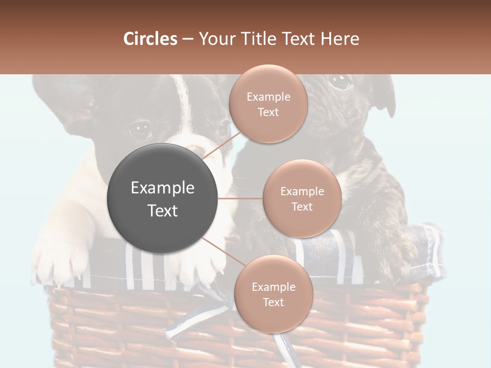 Two Puppies Are Sitting In A Basket PowerPoint Template