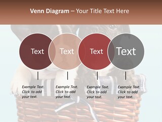 Two Puppies Are Sitting In A Basket PowerPoint Template