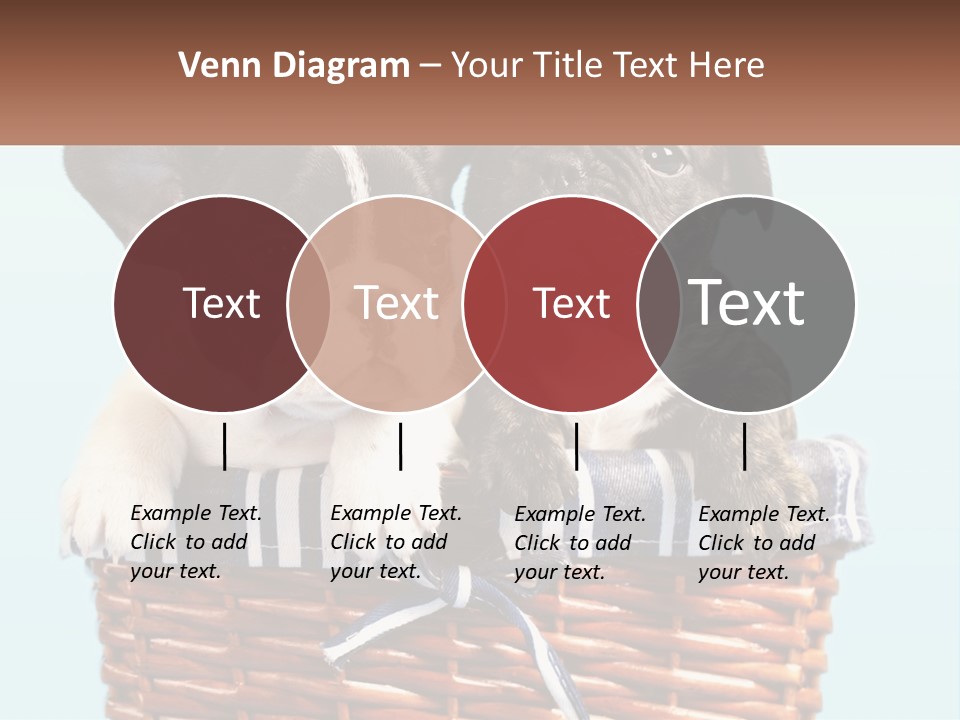 Two Puppies Are Sitting In A Basket PowerPoint Template