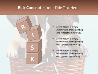 Two Puppies Are Sitting In A Basket PowerPoint Template