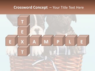 Two Puppies Are Sitting In A Basket PowerPoint Template